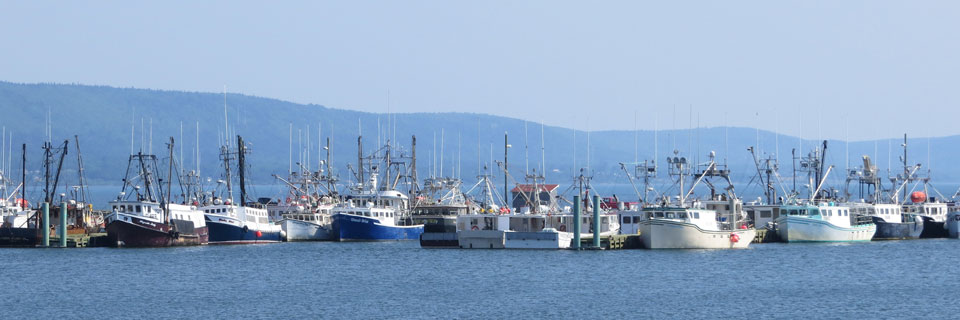 Digby NS 2013