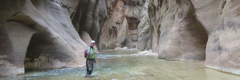 Hiking Zion 2014